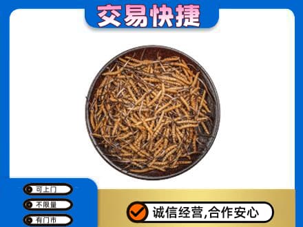 延安市宝塔高价回收散虫草